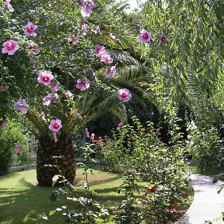 Vila Tonina Pollença